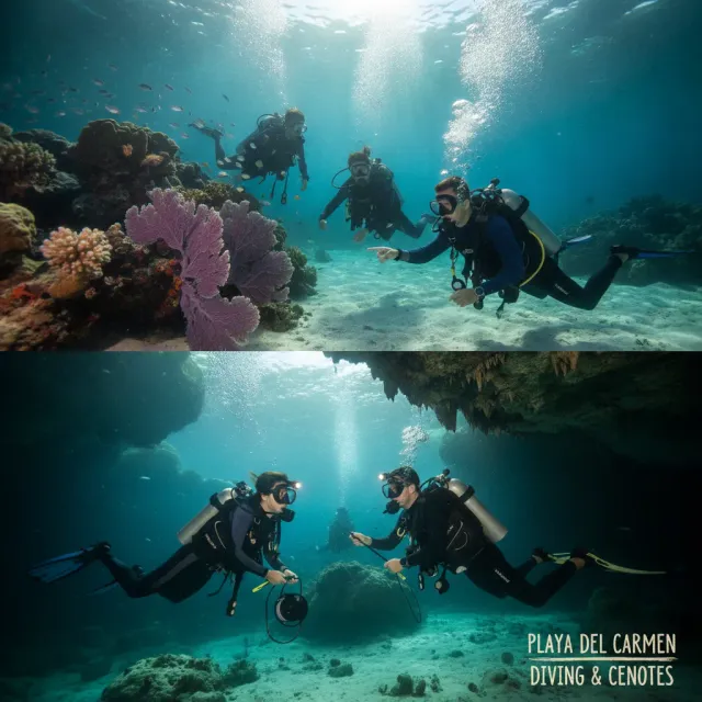 Diving & Cenotes